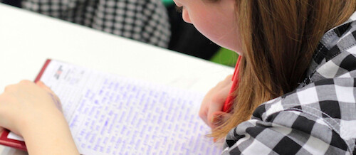 Common Application Essay Supplemental Prompts