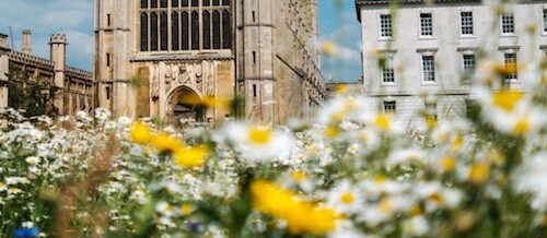View of visiting college campus with blooming flowers in foreground